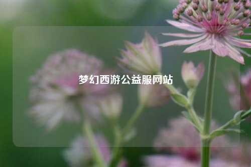 梦幻西游公益服网站